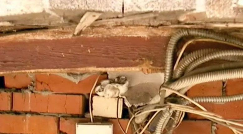 Dzogaba, Street Motion B