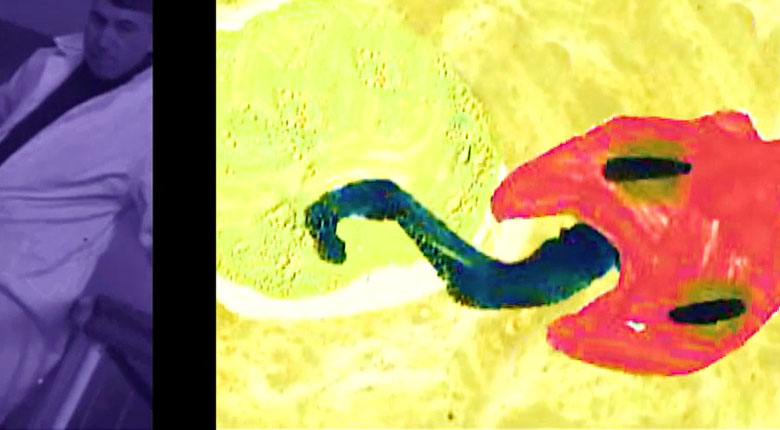 Dzogaba, Porco Rosso